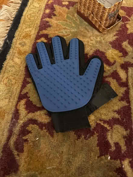Photo of free Pet de furer glove (Alexandria) #1