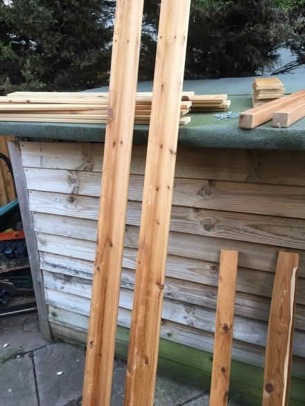Photo of free Single bed (North Norwich) #3