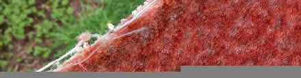 Photo of free Carpet 6 ft by 4 foot (Sale M33) #2