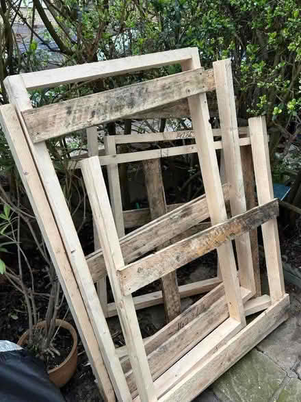 Photo of free Wood (Muswell Hill N10) #2
