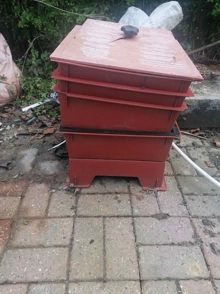 Photo of free Wormey (Bramley LS13) #2