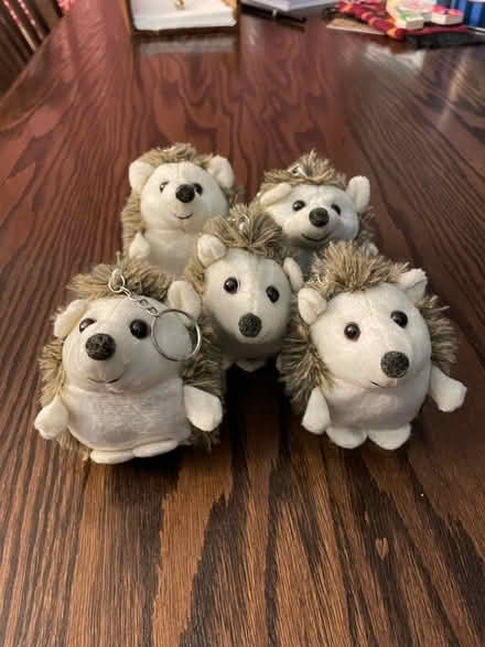 Photo of free 5 stuffed hedgehog keychains (NW Littleton / SW Lakewood) #1