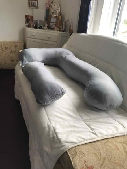 Photo of free Pregnancy Pillow new never used (Buckland TQ12) #1