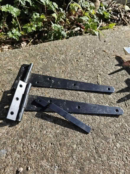 Photo of free Gate hinges (Whiteley PO15 6) #3