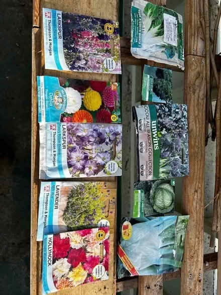 Photo of free Veg and flower seeds (Kington St Michael SN14) #1
