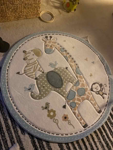 Photo of free Baby Rug (Derwood) #1