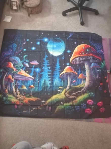 Photo of free New Large Mushroom mural (Hove Edge HD6) #1
