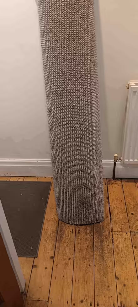 Photo of free New beige carpet 346cmx159cm (Fairfield LA1) #1
