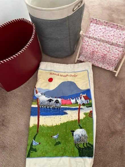 Photo of free Storage basket/bags (Wylde Green) #3