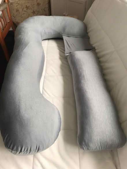 Photo of free Pregnancy Pillow new never used (Buckland TQ12) #3