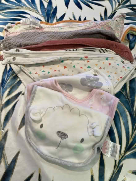 Photo of free Dribble bibs (Shepperton TW17) #2