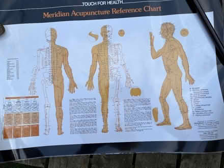 Photo of free 2 Meridian/acupuncture reference charts. Aldersbrook (Wanstead E11) #3