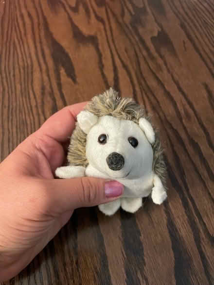 Photo of free 5 stuffed hedgehog keychains (NW Littleton / SW Lakewood) #2