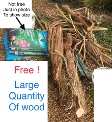 Photo of free Large quantity of wood (Cranwell) #1