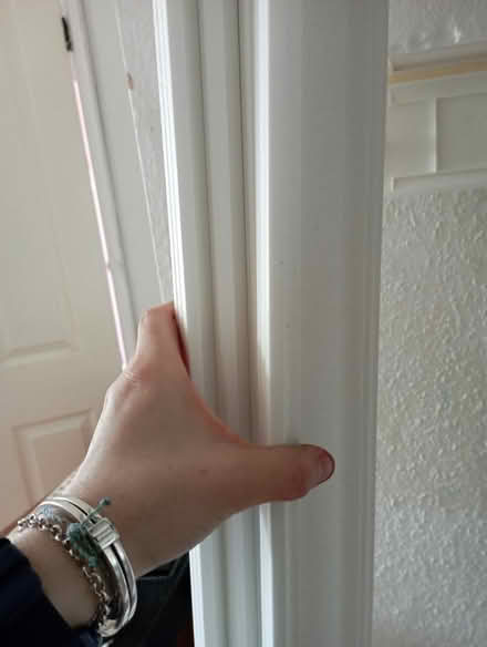 Photo of free Coving Panels 10m 4x2.4m (ME10) #1
