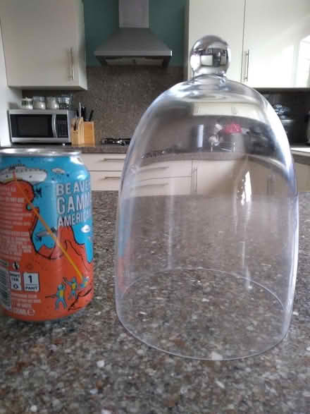 Photo of free Glass cloche (Newent GL18) #1