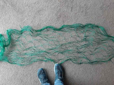 Photo of free Garden string useful for vegetable plot (Orgreave S13) #3