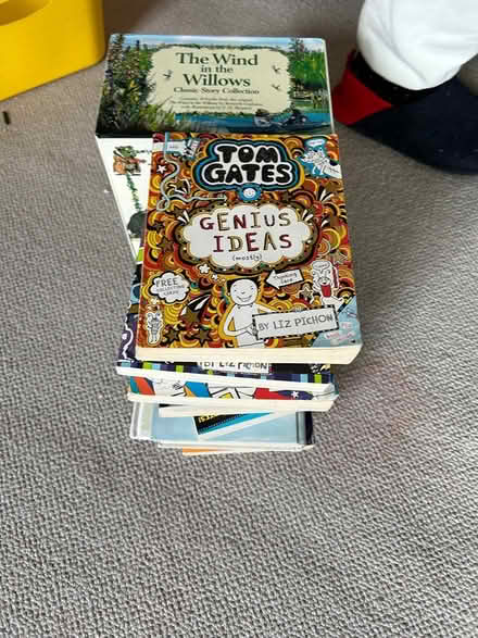 Photo of free About 20 kids’ books age 6-9 (Peckham/East Dulwich SE15) #1