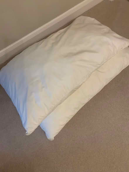 Photo of free 2 Standard Pillows (Monkmoor SY2) #1
