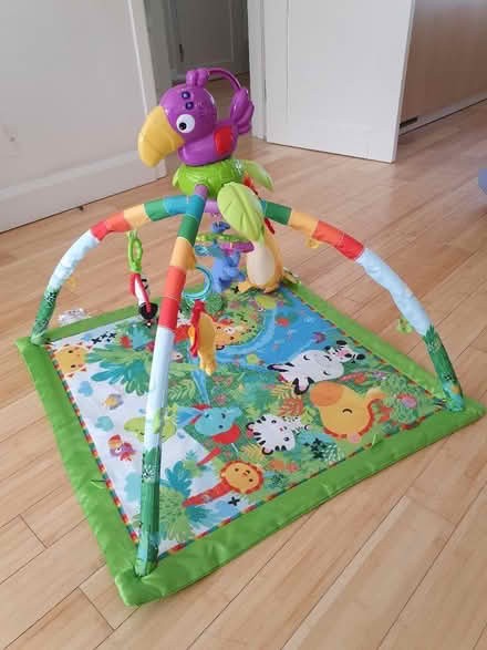 Photo of free Baby jungle mat (SW14) #1