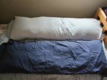 Photo of free 2 body pillows (Walnut Creek-Heather Farm Park) #1