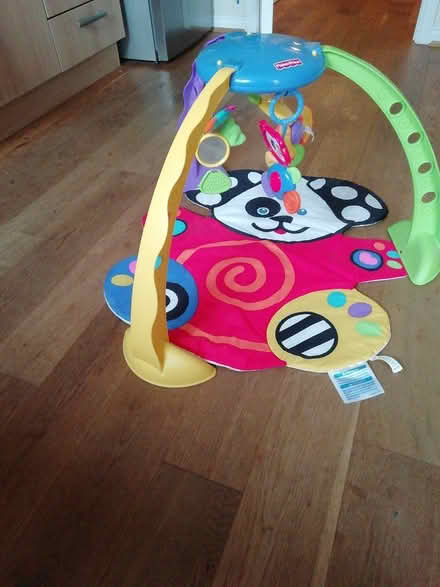 Photo of free Baby floor mobile and mat (Butts hill area BA11) #1
