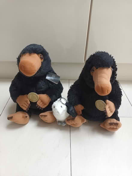 Photo of free Harry Potter Animal Soft Toys (AL4) #1