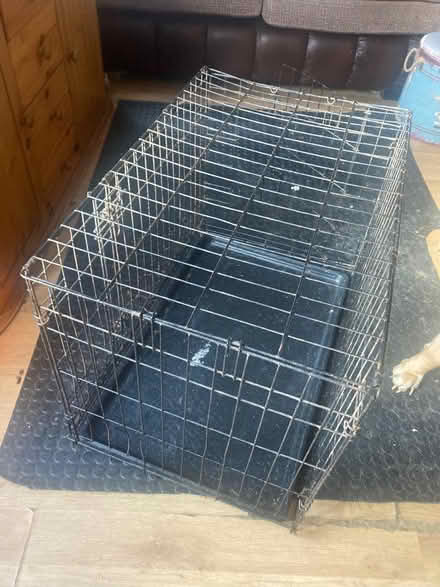 Photo of free Medium dog crate (Mattishall NR20) #1