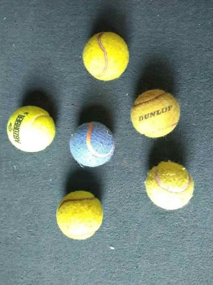 Photo of free Tennis balls (Little Chester DE1) #1