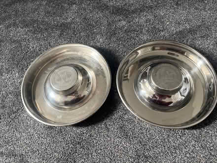 Photo of free Puppy/kitten feeders (Surrey docks farm) #1