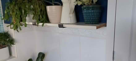Photo of piece of timber for shelf... (Grinshill SY4) #1