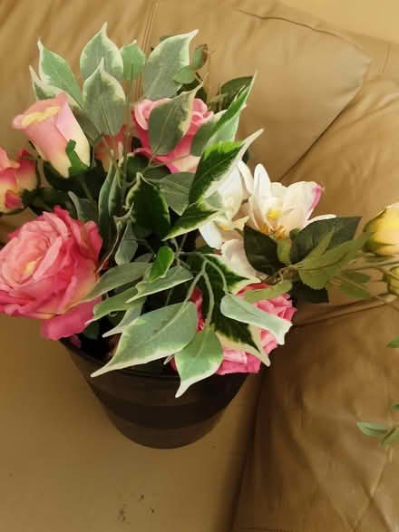 Photo of free Flowers (Broad Green L14) #1