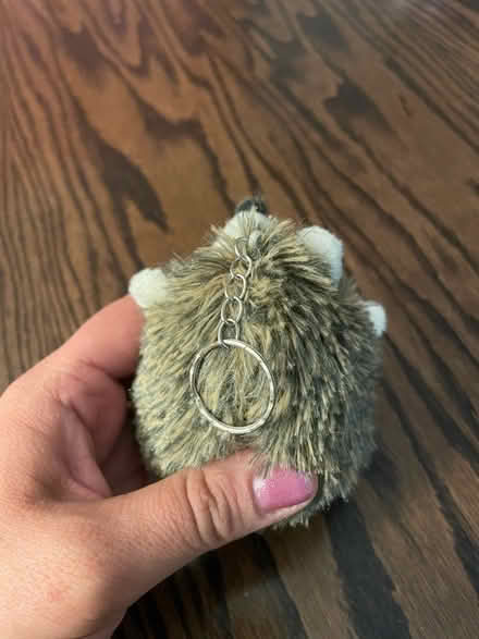 Photo of free 5 stuffed hedgehog keychains (NW Littleton / SW Lakewood) #3