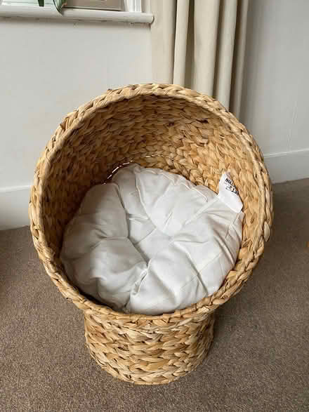 Photo of free Cat bed (Dorking) #1