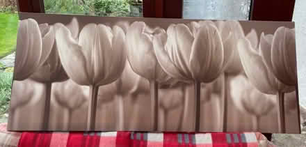 Photo of free Large Canvas Picture (Askham CA10) #1