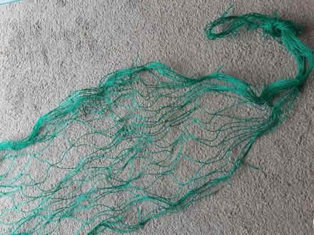 Photo of free Garden string useful for vegetable plot (Orgreave S13) #2