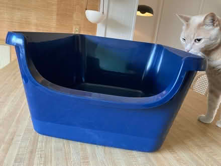 Photo of free Frisco XL cat litter box (East Hollywood) #3
