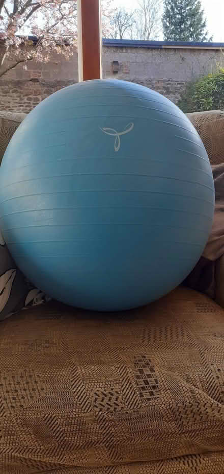 Photo of free 65 cm gym ball (Sutton Wick OX14) #1