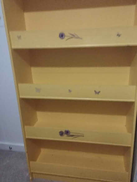 Photo of free Yellow book shelf (Billingshurst) #4