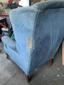 Photo of free Wing back chair (Fircrest) #2