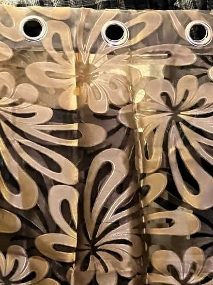 Photo of free Net curtains/voile (Havant) #1