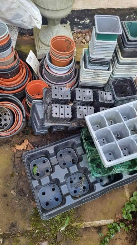 Photo of free Plant Pots (Near Alsager) #1