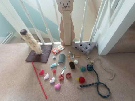 Photo of free Cat stuff (Redhill RH1) #1