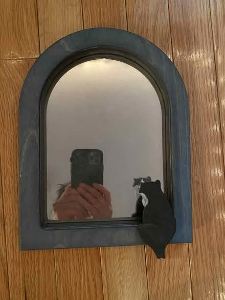 Photo of free Cute cat mirror (Brooklyn) #1