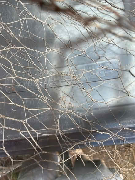 Photo of free Used chicken wire (Downswood Near Maidstone) #1