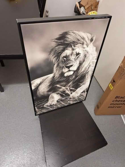 Photo of free 60 by 40cm canvas (Walthamstow) #1