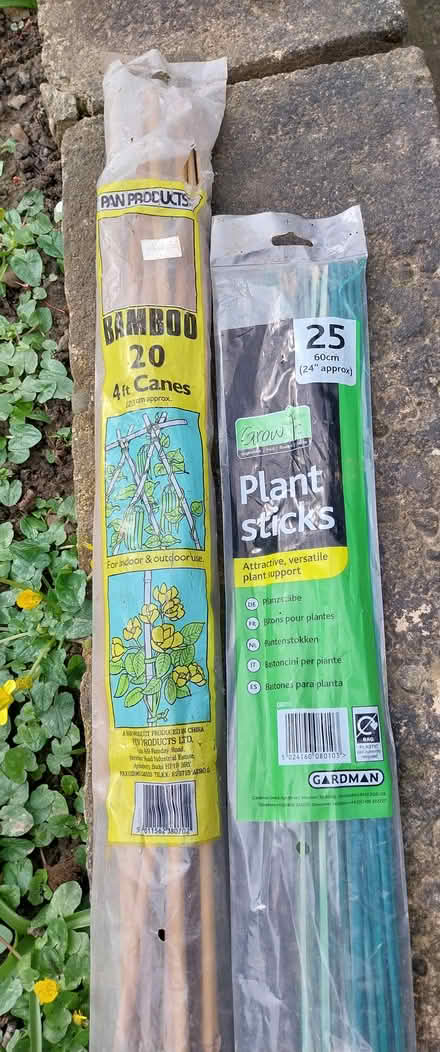 Photo of free Canes & plant sticks (Bishop Auckland DL14) #2