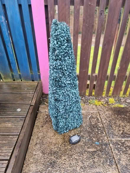 Photo of free Artificial topiary for garden (Hamilton) #1
