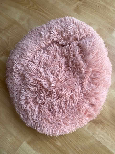 Photo of free Small pink cat / dog bed (AL7) #1