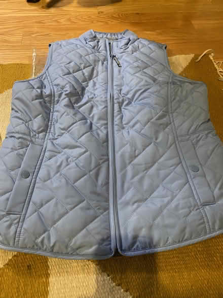 Photo of free Brand new vest + purses (Brooklyn) #3